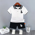 Dinosaur T-Shirt and Shorts Set for Boys 0-5 Years
